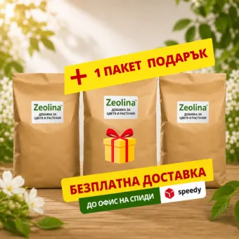Снимка на голям комплект Зеолина
